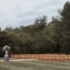 Rows of beech wood folding chairs for a wedding ceremony