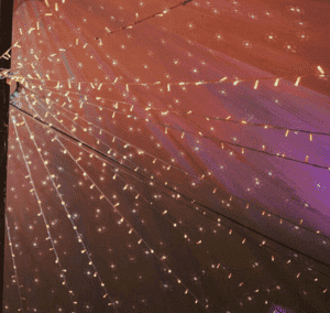 fairy lighting by county marquees