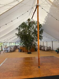 Interior of marquee for a wedding with tree in the middle of the marquee, answering the question what size marquee do I need?